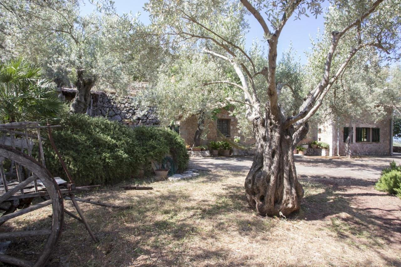 Villa Es Coco, Soller Port De Soller Exterior photo